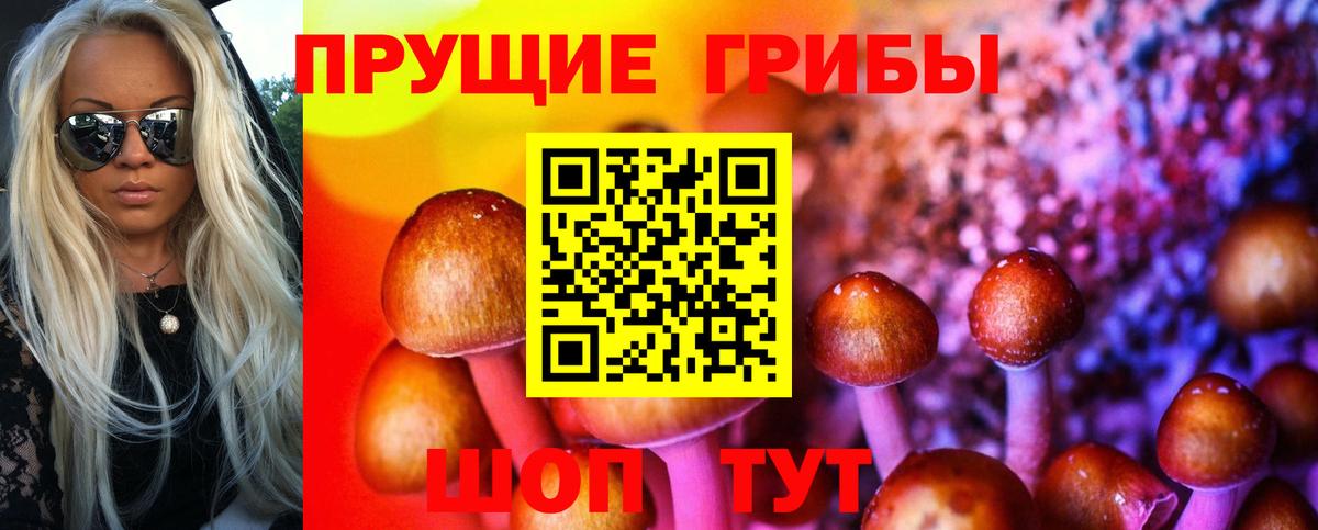 Волжск  Псилоцибиновые грибы Psilocybine cubensis  Галлюциногенные грибы мицелий  Вход с VPN 